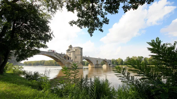 France - avignon — Photo