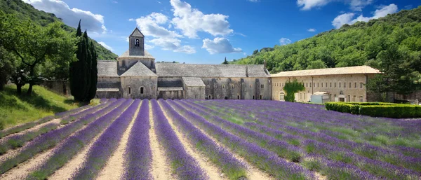 France- Abbaye de Senanque — Stock Photo, Image