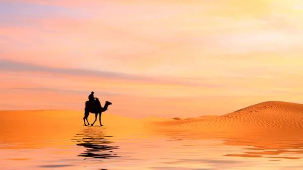 在撒哈拉沙漠中的骆驼 — 图库照片