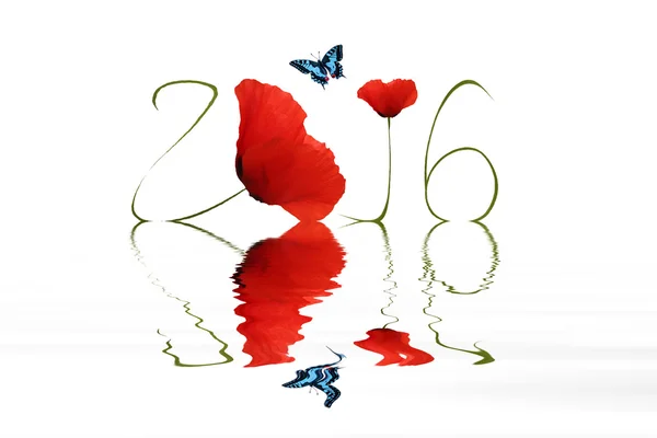 New year 2016 — Stock Photo, Image
