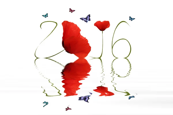 New year 2016 — Stock Photo, Image