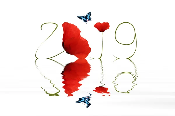 Butterfly and poppy for an hapy new year — Stock Photo, Image