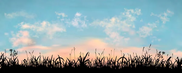 Naadloze vector realistisch silhouet grasveld met zonsondergang hemel achtergrond. Lange lengte vector horizontale achtergrond — Stockvector