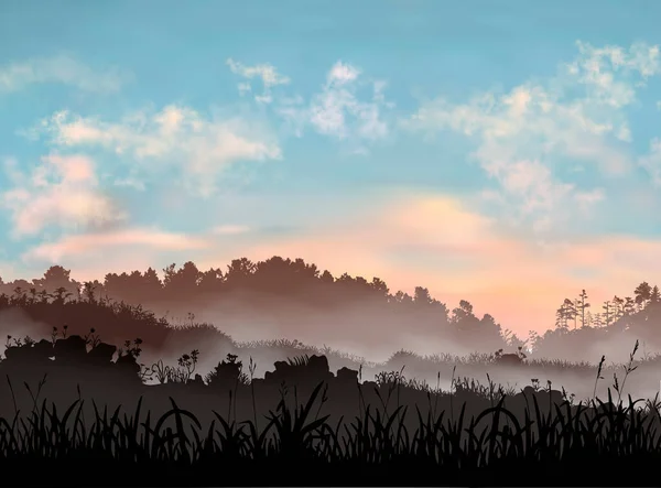 Champ de montagne le soir. Beau ciel réaliste coucher de soleil avec des nuages légers et le sol avec de l'herbe, forêt et collines sous elle. Silhouette vectorielle illustration horizontale Vecteur En Vente