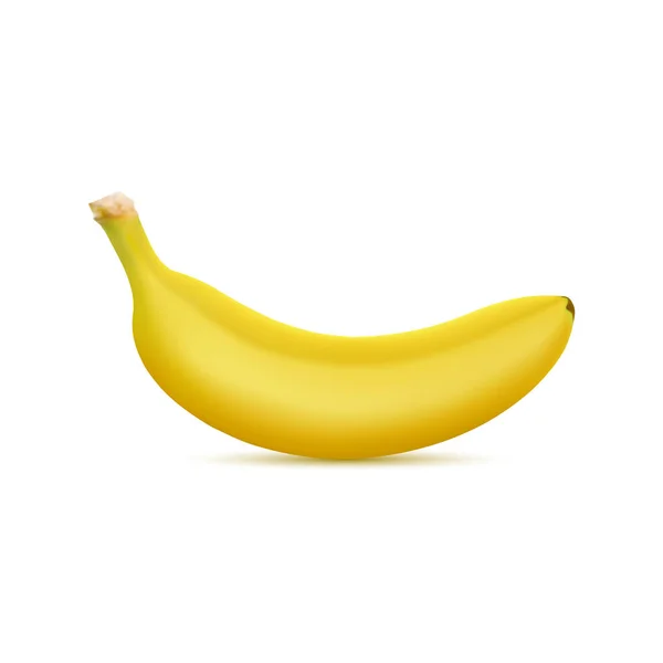 Plátano realista 3d. Ilustración vectorial aislada sobre fondo blanco — Vector de stock
