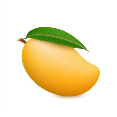 Sarı Mango gerçekçi 3d vektör çizimi beyaz arkaplanda izole edildi.