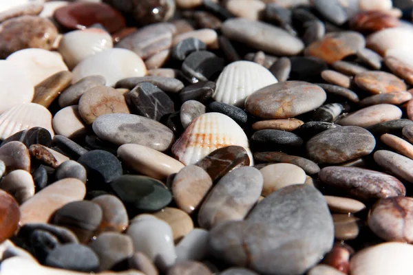 Background from multi-colored stones. Texture of sea stones. Red and blue pebbles. Stone beach. Minerals. Colorful stone. Semiprecious stones. Stereoscopic Cobblestone.