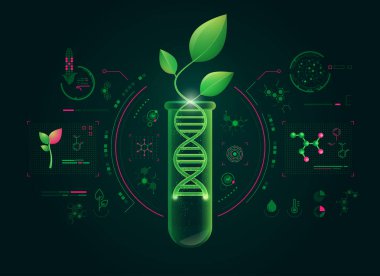 Yeşil biyoteknoloji ya da sentetik biyoloji kavramı, bitki grafiği ve DNA şekli.