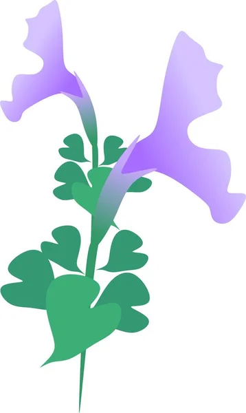 Petunia Flor Verano Hoja Violeta —  Fotos de Stock