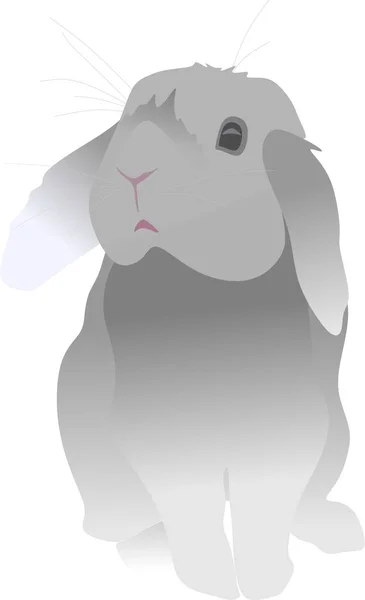 Милий Кролик Заєць Колір Сірий Пурпуровий Помаранчевий — стокове фото