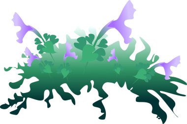 Petunya çiçekleri yaprak güneş yazı