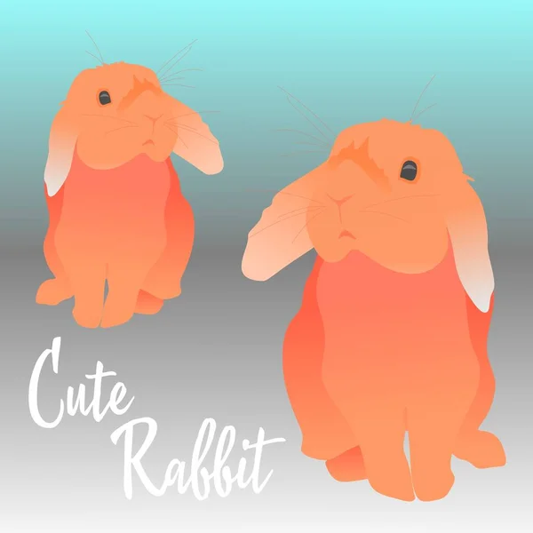 Милий Кролик Заєць Колір Сірий Пурпуровий Помаранчевий — стоковий вектор