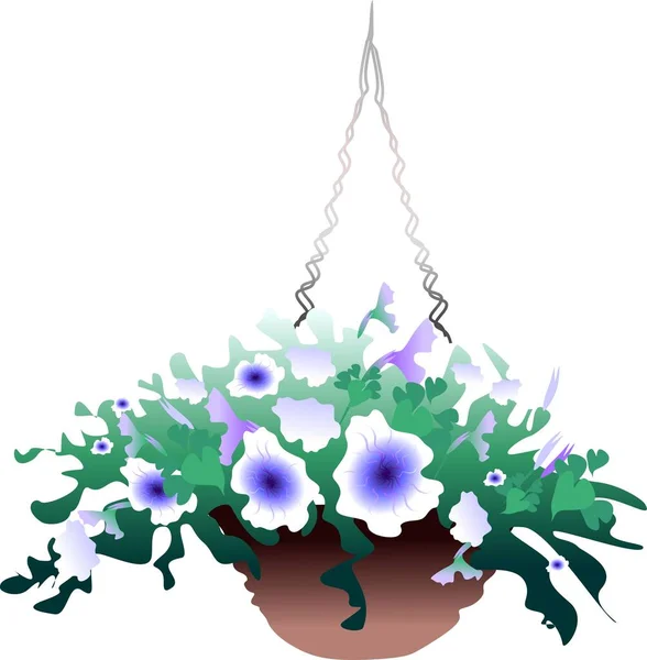 ペチュニアの花の葉の夏 — ストックベクタ