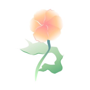 Narin taç yaprakları, şeftali rengi çiçekler, tomurcuklar. Yapraklar yeşil, nane rengi, haki rengi. Botanik çiçekleri, fantezi bitkileri. 