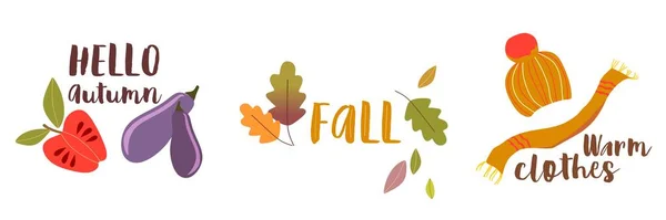 Autumn Autumn Season Favorite Time Leaves Falling Harvesting Oak Leaves — Vetor de Stock