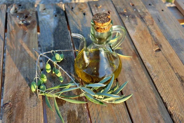 Bir yağ bidonuna bir dilim ekmek ve zeytin yağı dalı ile yakın plan. Hasattan önce zeytin ağacı tarlasının arka planı. Organik zeytin ekimi.