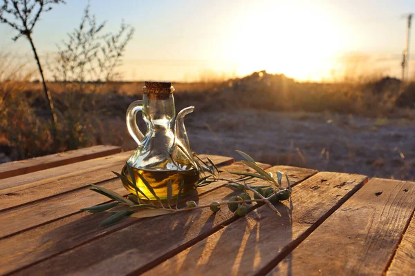 Bir yağ bidonuna bir dilim ekmek ve zeytin yağı dalı ile yakın plan. Gün batımından önce zeytin ağacı tarlasının arka planı
