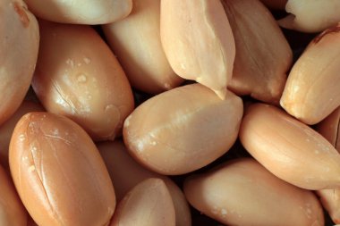 Yerfıstığının makro yakın çekimi. Dokular, arka planlar ve desenler için fotoğraf. Doğal yiyecekler. Temel bileşen. Yağ üretimi.