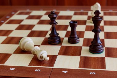 Klasik satranç oyunu. Yenilmiş siyah kral. Satranç taşları satranç tahtasına konur..