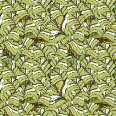 suluboya resimleme, duvar kağıdı veya kumaş için tropikal canlı yapraklardan pürüzsüz desen