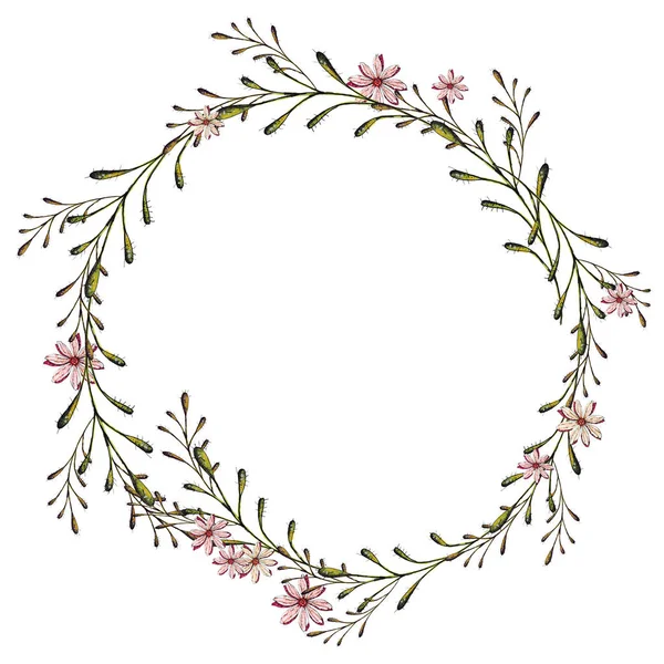 Watercolor Illustration Frame Small Delicate Kwiaty Colendula Grasy — Zdjęcie stockowe