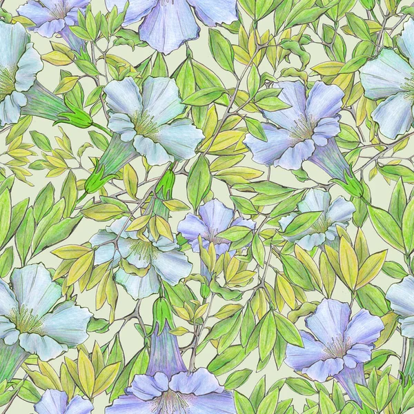 Watercolor Illustration Seamless Pattern Blue Flower Green Leaves Gray Background — Fotografia de Stock