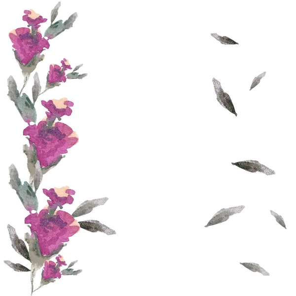 Acuarela Ilustración Delicadas Flores Color Rosa Oscuro Con Hojas Grises —  Fotos de Stock