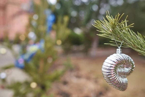 圣诞树玩具银制的牛油果壳挂在冷杉上.特写镜头，有选择地聚焦 — 图库照片