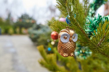 Noel ağacı oyuncağı altın baykuş köknara asılı. Yaklaş, seçici odaklanma