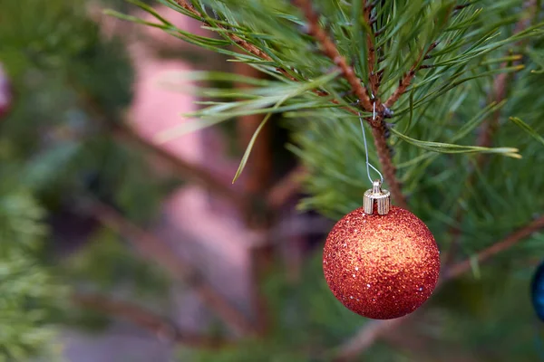 Albero di Natale giocattolo palla rossa appesa all'abete. Focus ravvicinato e selettivo — Foto Stock