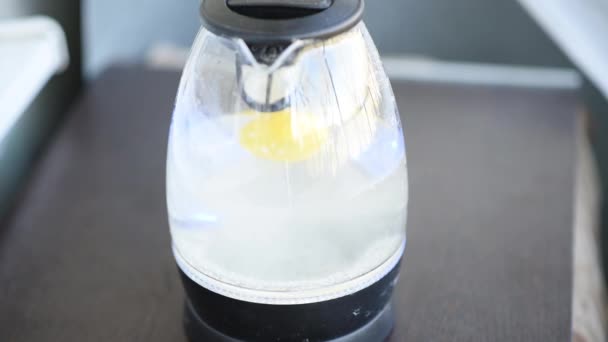 Maneira fácil de descalcificar a chaleira elétrica de vidro fervendo meio limão. Tiro rápido — Vídeo de Stock