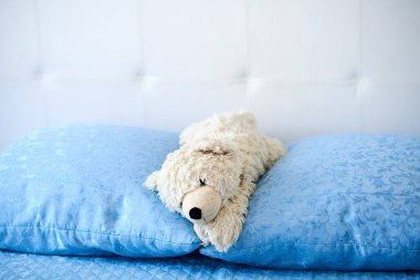 Oyuncak beyaz köpek mavi yastıklarda yatıyor.
