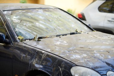 Very dirty car, muddy with bird droppings clipart