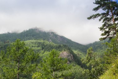 Bulutlar ile yeşil ahşap kaplı dağlarında.