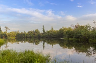 Sessiz nehir creek ve mavi gökyüzü, gündoğumu.