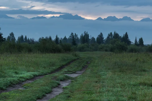 The road through the meadow at sunrise in the mountains. — Stock Photo, Image