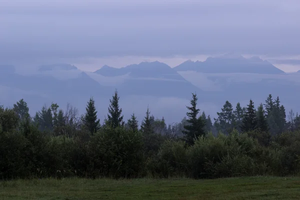 Meadow and forest on a background of mountains hidden by fog. — Stock Photo, Image