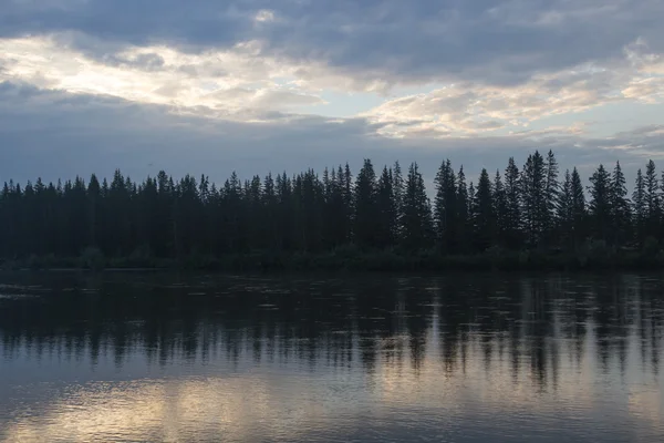 Le bois qui se reflète dans l'eau de la rivière actuelle . — Photo