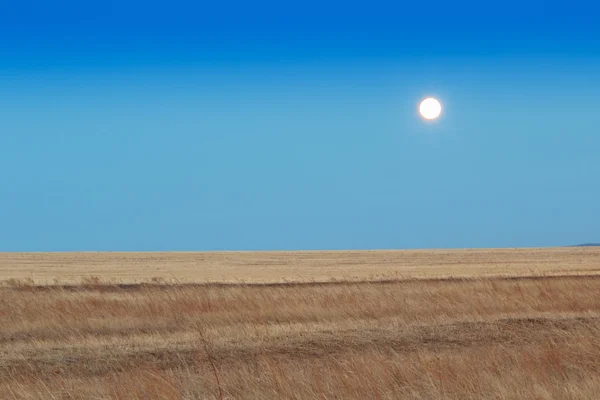 Lever de soleil dans les steppes. Ciel bleu, herbe jaune . — Photo