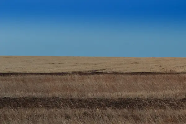 Wschód słońca w stepy. Błękitne niebo, żółty trawy. — Zdjęcie stockowe