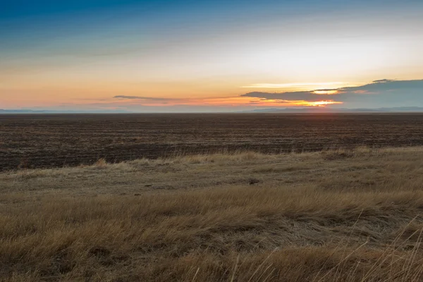 Sunrise in de steppen. Blauwe hemel, gele gras. — Stockfoto