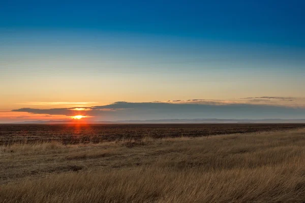 L'alba nelle steppe. Cielo blu, erba gialla . — Foto Stock