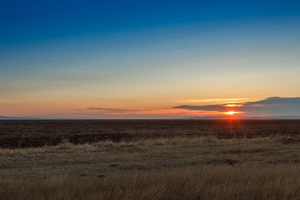 Nascer do sol nas estepes. Céu azul, grama amarela . — Fotografia de Stock