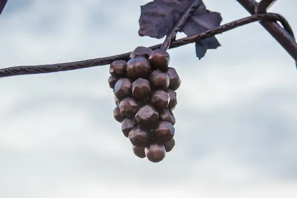 Ramo de uvas de bronce en el fondo del cielo — Foto de Stock