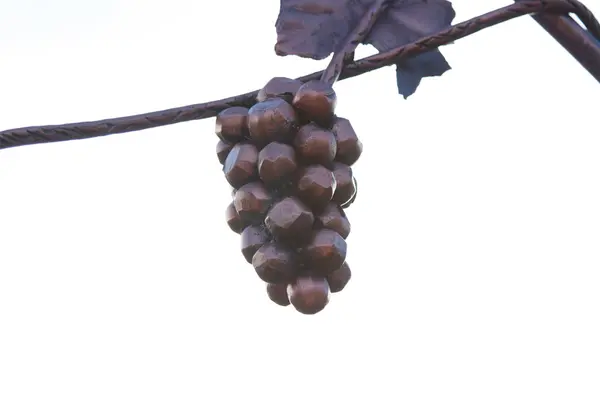 Ramo de uvas de bronce en el fondo del cielo —  Fotos de Stock