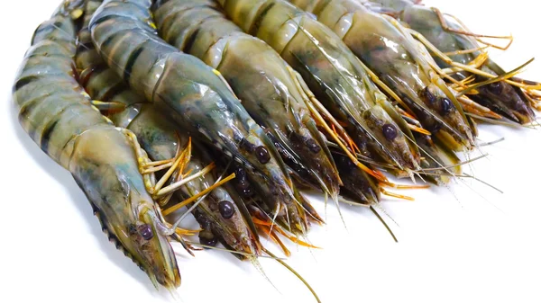 Beyaz bir tabak üzerinde büyük taze karides