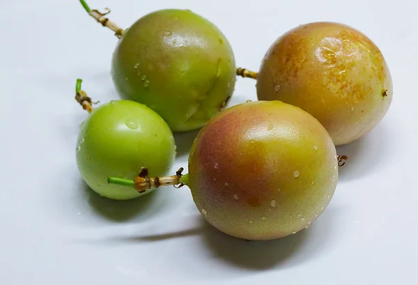 Grüne Passionsfrucht isoliert auf weißem Teller Nahaufnahme — Stockfoto