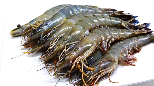 Beyaz bir tabak üzerinde büyük taze karides