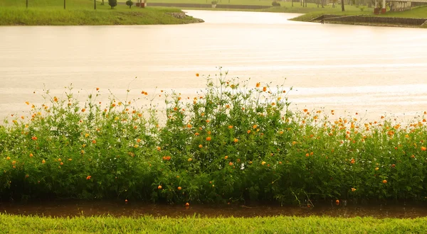 Aussichtspunkt an einem regnerischen Tag im öffentlichen Park, udonthani thailand — Stockfoto