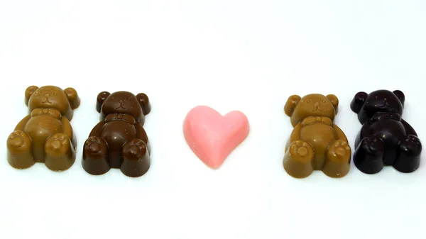 Baby  Bear Chocolate on white plate — Stock Photo, Image